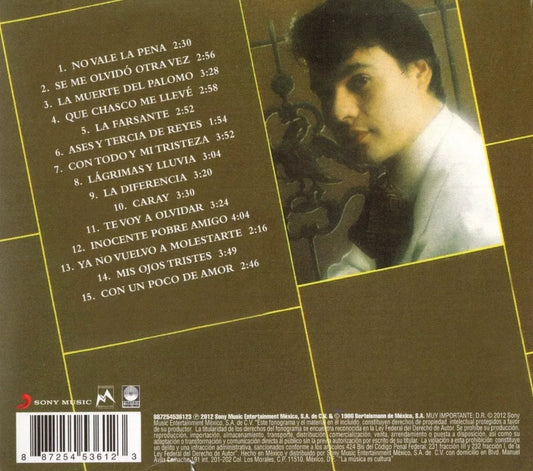 Juan Gabriel 15 Años De Exitos Rancheros Disco Cd