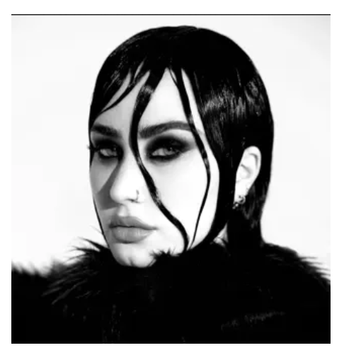 Demi Lovato Revamped Disco Cd