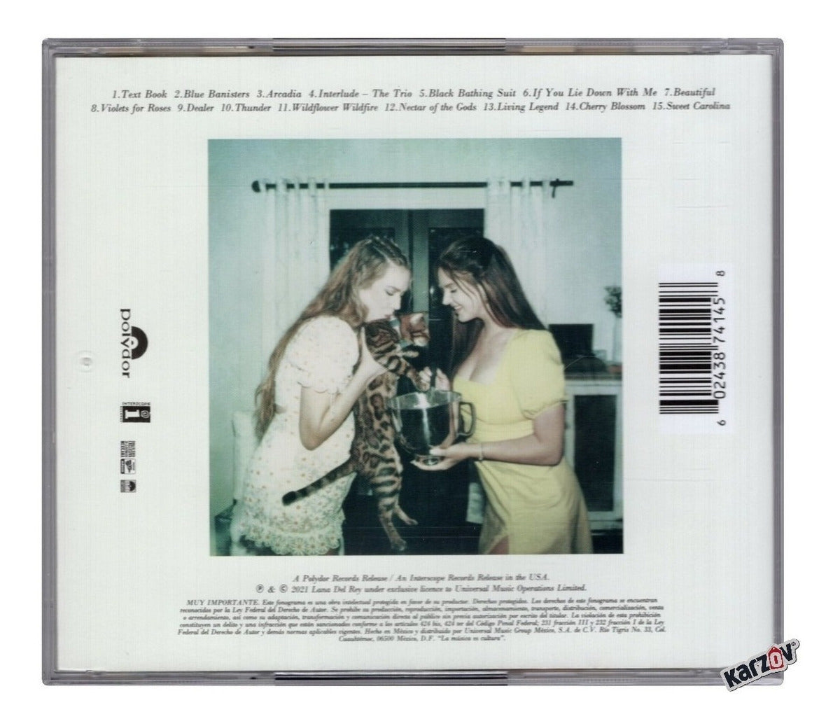 Lana Del Rey Blue Banisters Disco Cd