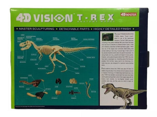 Modelo Anatómico Del Tiranosaurio Rex / Dinosaurio T - Rex