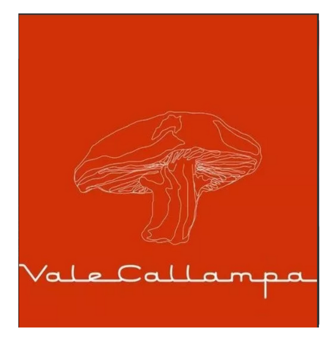 Cafe Tacuba Valle Callampa Disco Cd