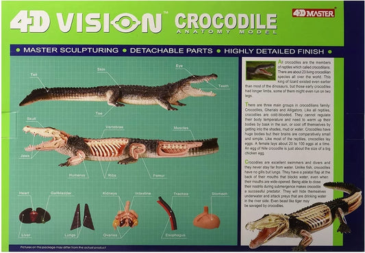 Modelo Anatomico Del Cocodrilo Crocodile Vision 4d / 26 Pzas