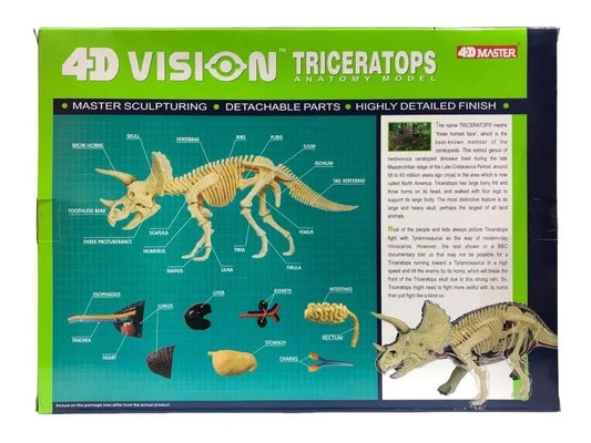 Modelo Anatomico Del Dinosaurio Triceratops Anatomy / 46 Pzs
