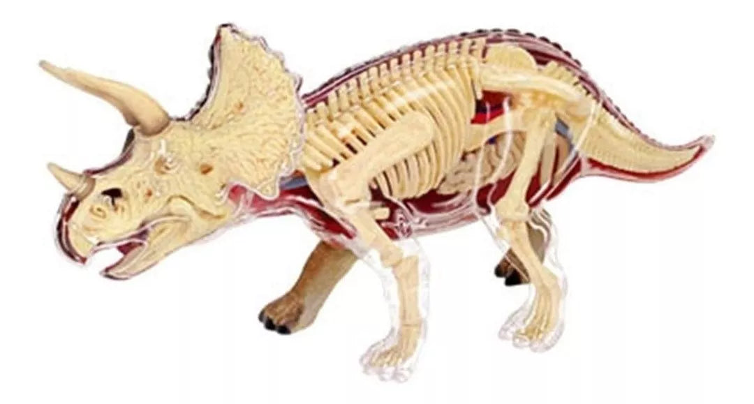 Modelo Anatomico Del Dinosaurio Triceratops Anatomy / 46 Pzs