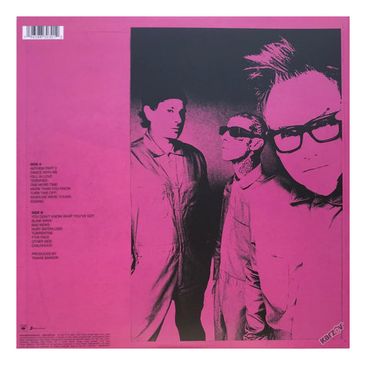 Blink - 182 One More Time ... Coke Bottle Clear Lp Vinyl