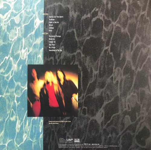 Nirvana Nevermind 30th Anniversary Lp Vinyl