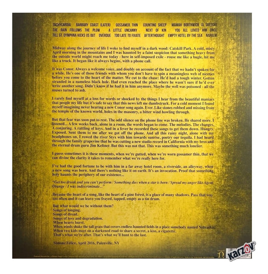 Connor Oberst Ruminations Rsd 2021 / 2 Lp Vinyl