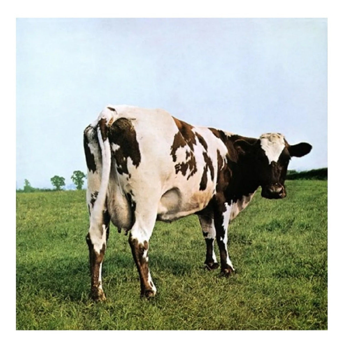 Pink Floyd Atom Heart Mother Remastered Lp Vinyl