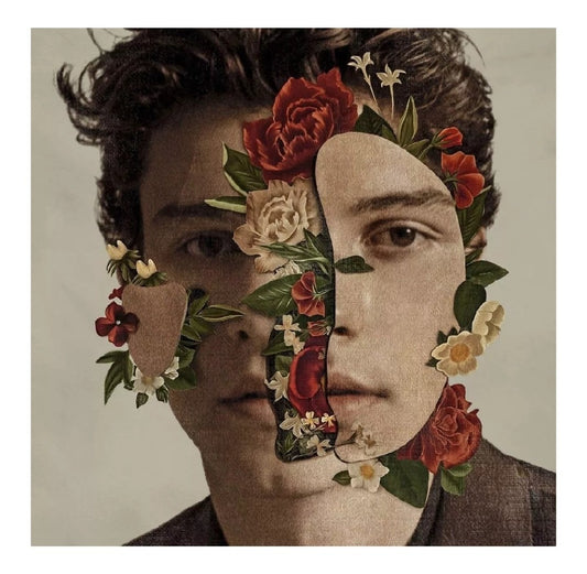 Shawn Mendes Lp Vinyl