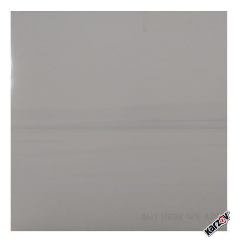 Foo Fighters But Here We Are Blanco White Lp Vinyl