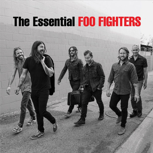 Foo Fighters The Essential 2 Lp Vinyl