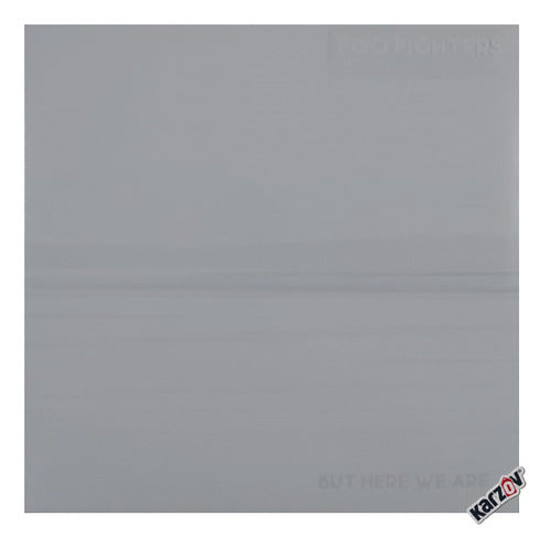 Foo Fighters But Here We Are Importado Lp Vinyl