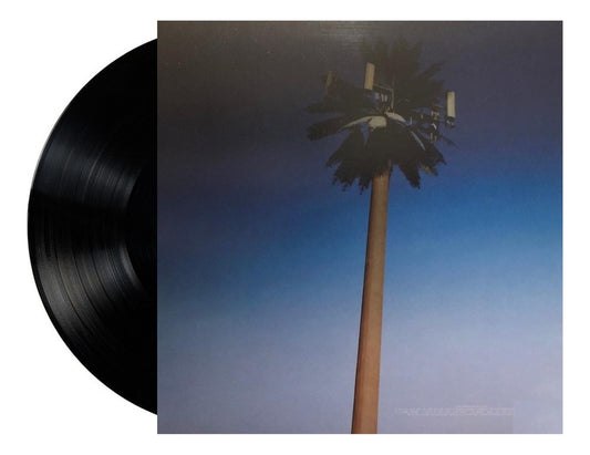 Miley Cyrus Endless Summer Vacation Lp Vinyl