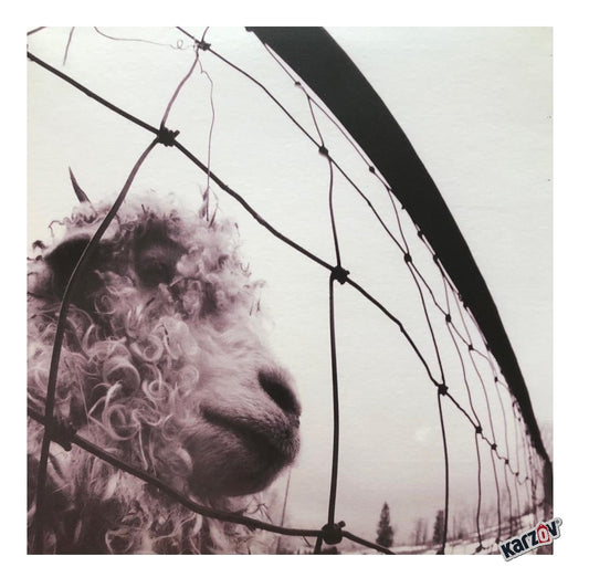 Pearl Jam Vs 30 Aniversario Lp Vinyl