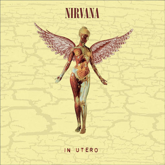 Nirvana In Utero Deluxe 30th Anniversary Box 8 Lp Vinyl