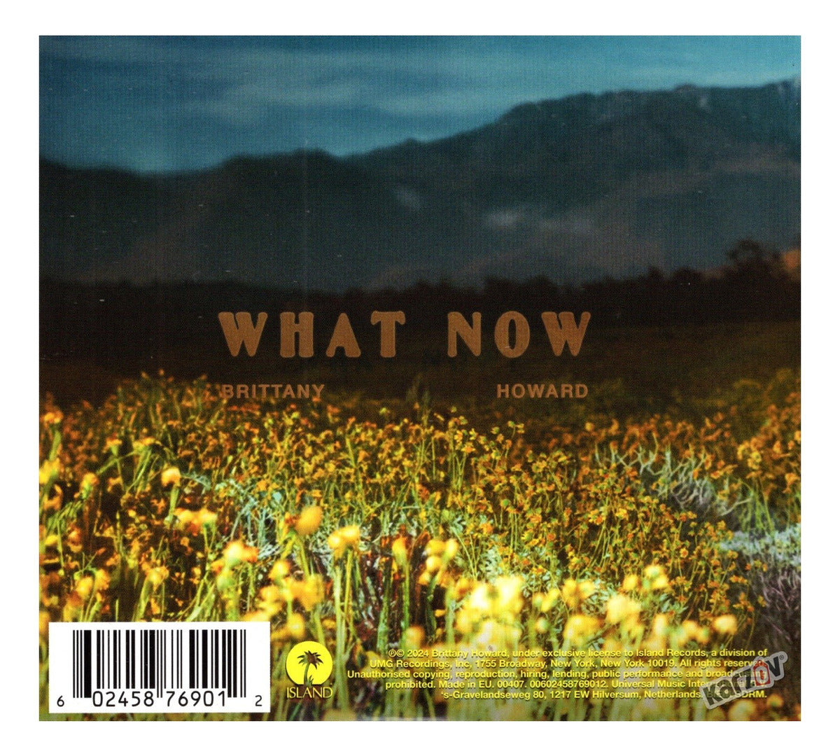 Brittany Howard What Now Disco Cd