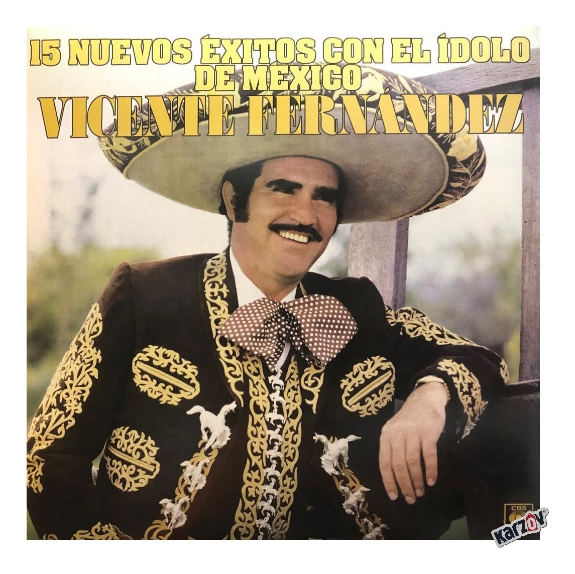 Vicente Fernandez 15 Nuevos Exitos El Idolo Mexico Lp Vinyl