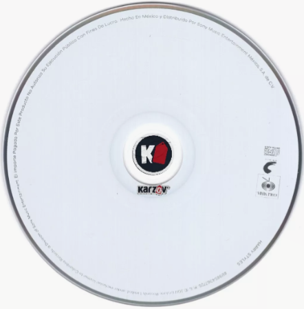 Harry Styles Disco Cd