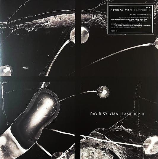 David Sylvian Camphor II RSD 2025 Blanco White 2 LP Vinyl