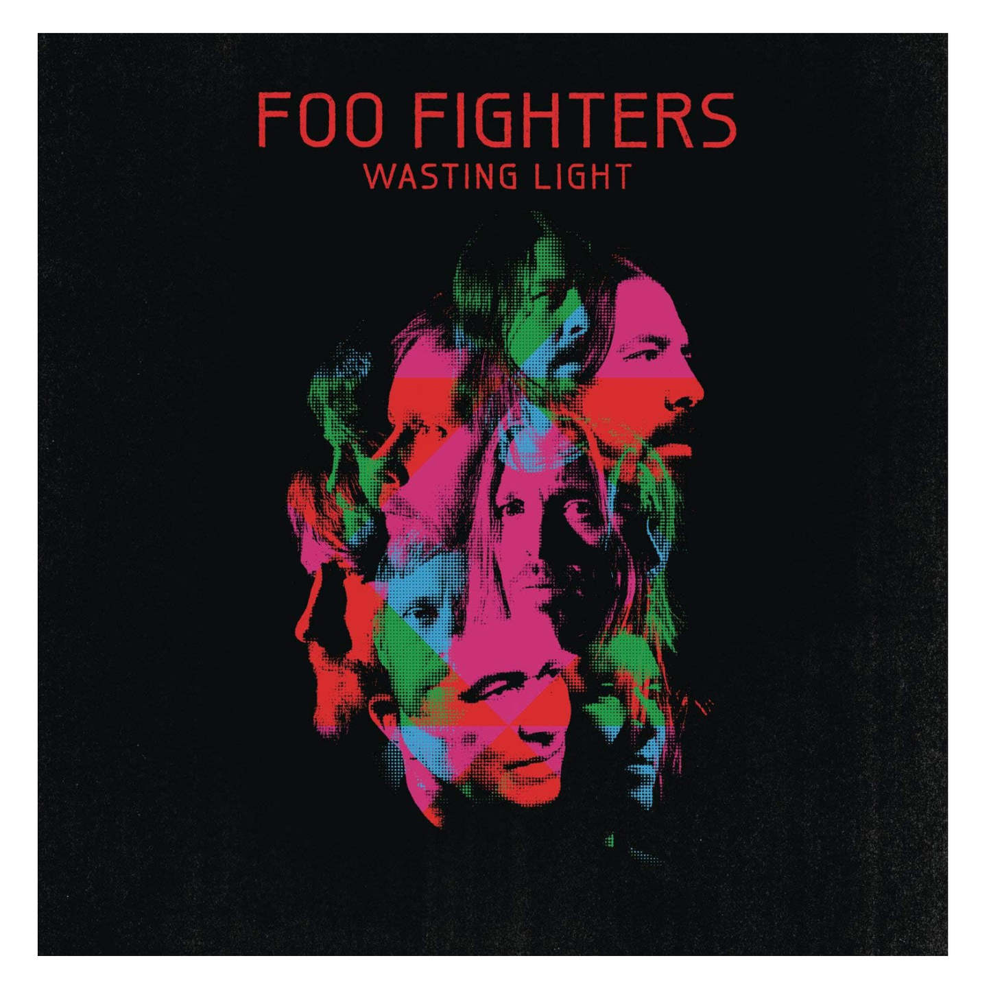 Foo Fighters Wasting Light Disco Cd