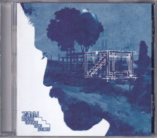 Zayn Room Under The Stairs Disco Cd
