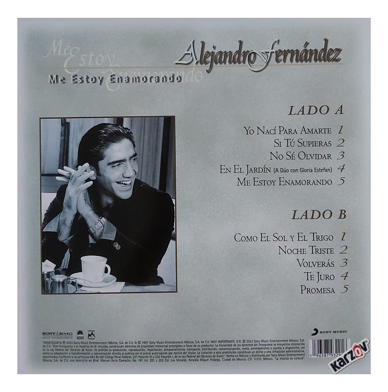 Alejandro Fernandez Me Estoy Enamorando Gris Grey Lp Vinyl