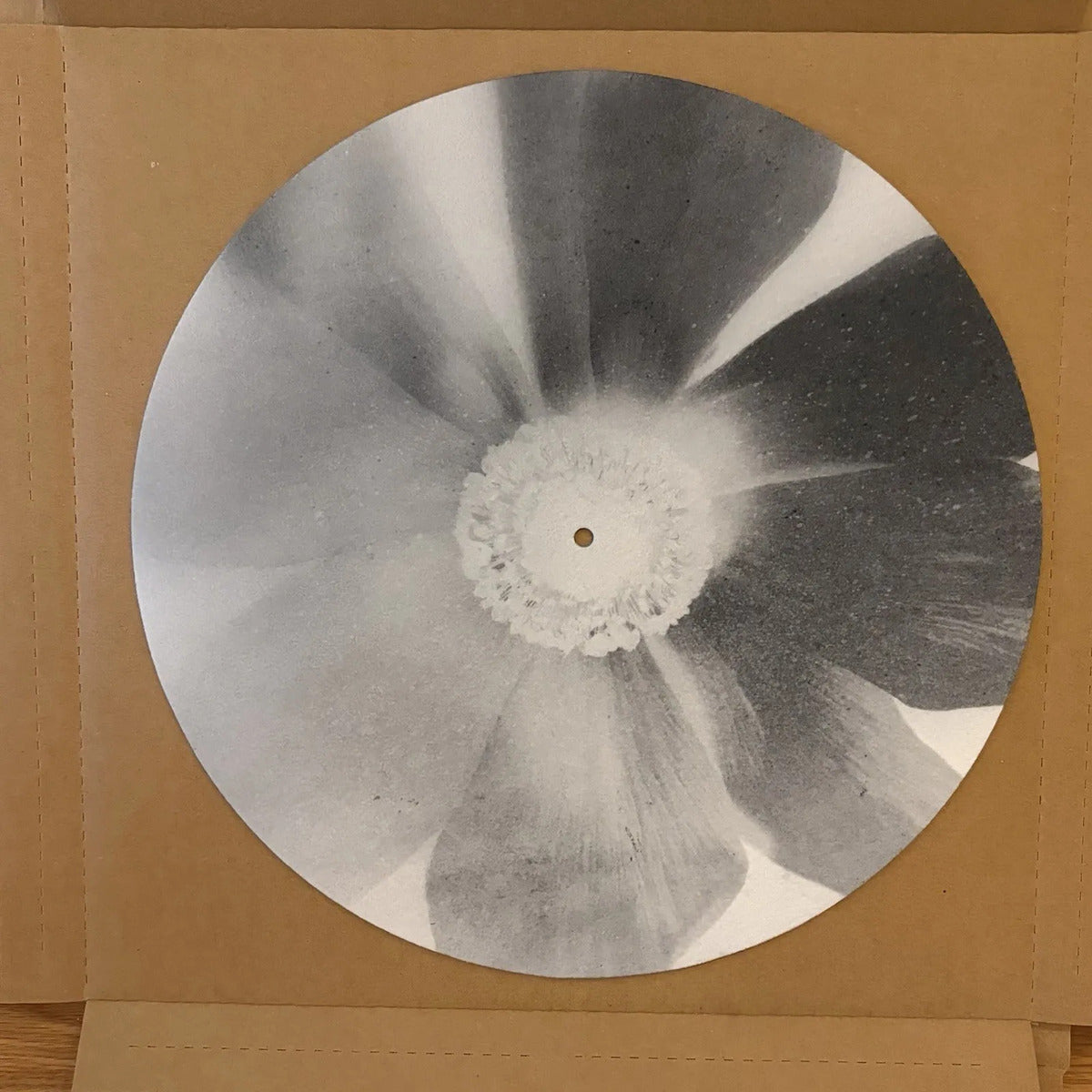 Ariana Grande Petal Lp Vinyl Indie Exclusive