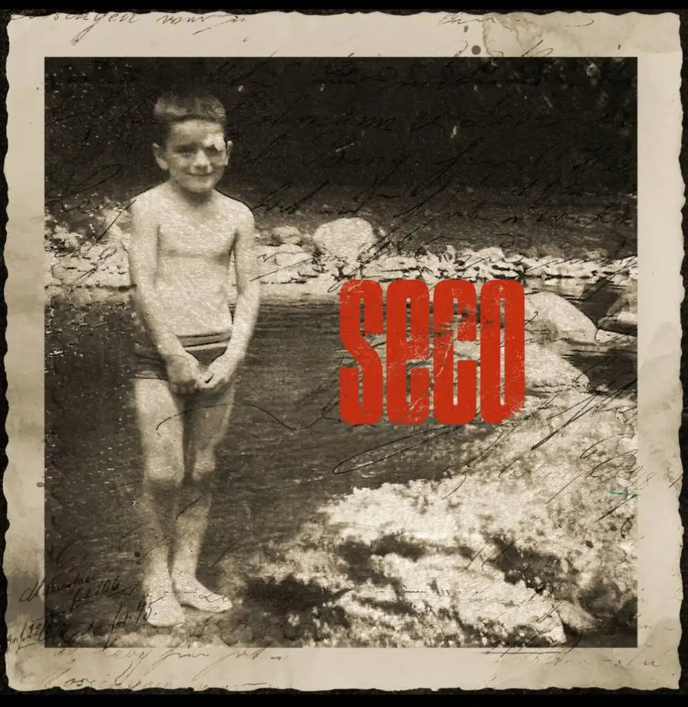 Ricardo Arjona Seco 2 Lp Vinyl