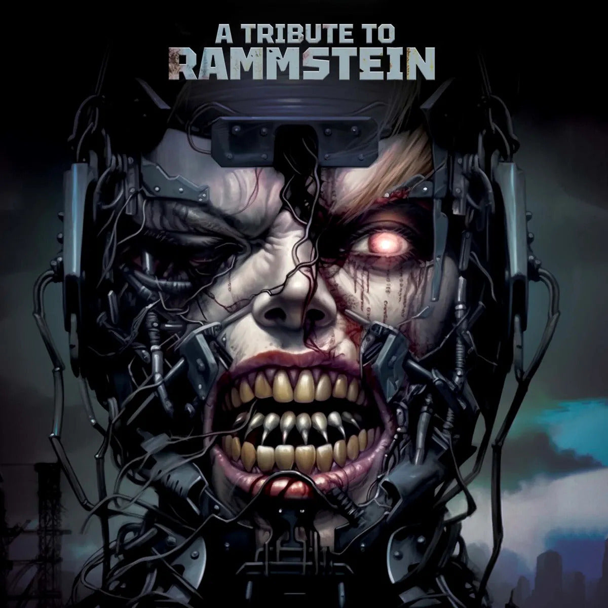A Tribute To Rammstein Lp Vinyl