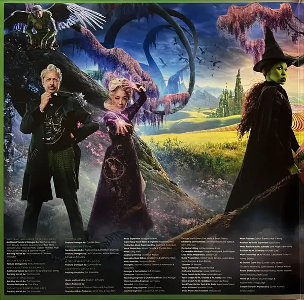 Wicked The Soundtrack Ariana Grande 2 Lp Vinyl