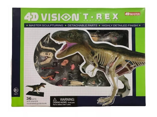 Modelo Anatómico Del Tiranosaurio Rex / Dinosaurio T - Rex