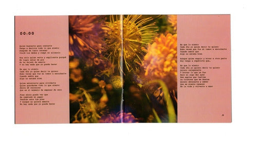 Siddhartha 00:00 Disco Cd