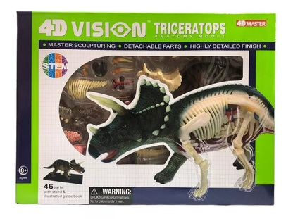 Modelo Anatomico Del Dinosaurio Triceratops Anatomy / 46 Pzs