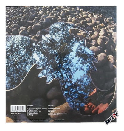 Jamiroquai - Synkronized - Lp Vinyl