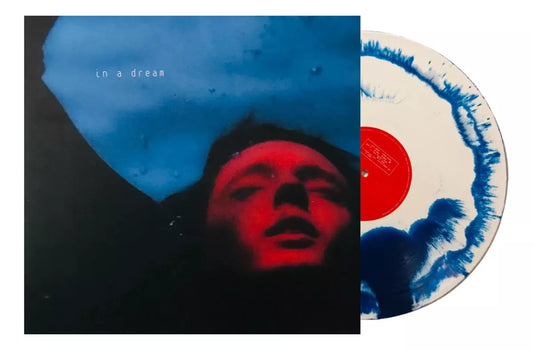 Troye Sivan In A Dream Vinyl
