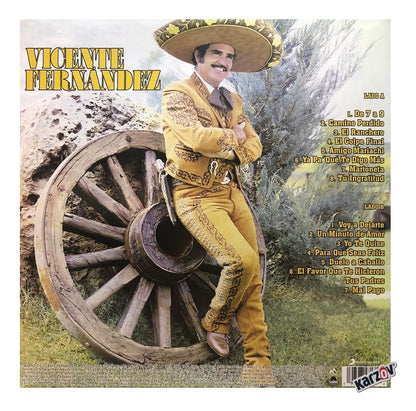 Vicente Fernandez 15 Nuevos Exitos El Idolo Mexico Lp Vinyl