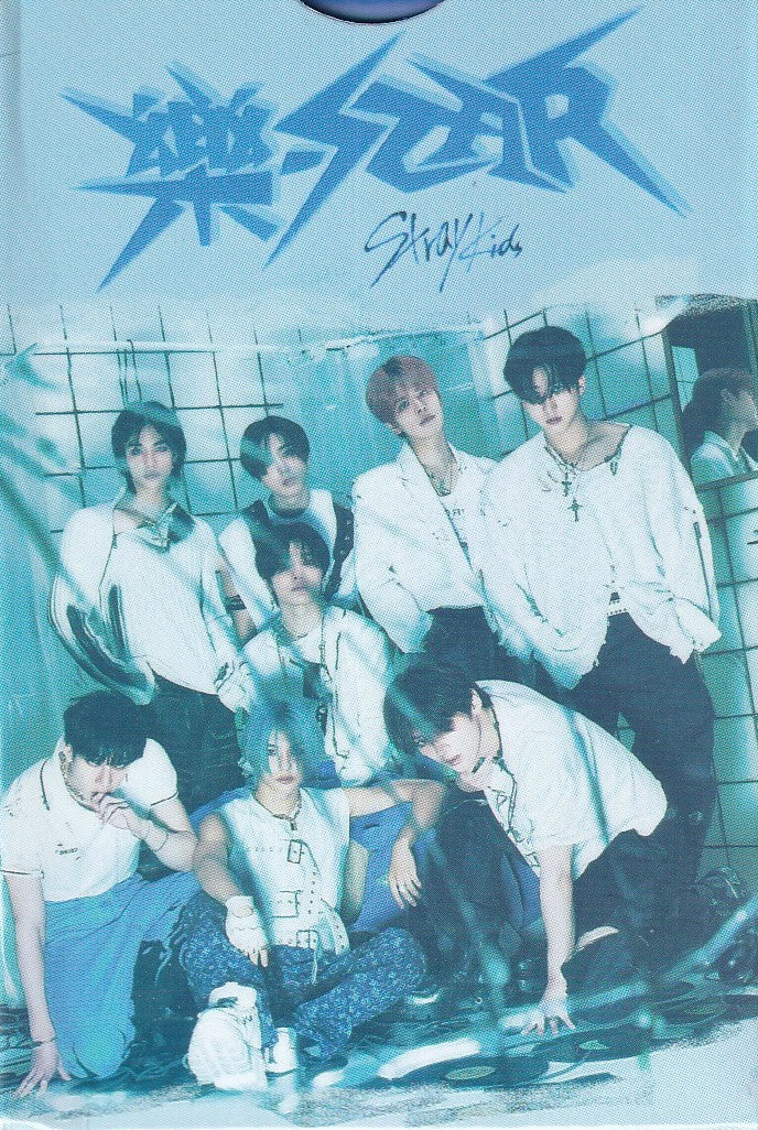Stray Kids Photocard Tarjetas Lomo Card [ Version A Elegir ] Blue / 55 pcs / Rock Star