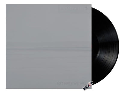 Foo Fighters But Here We Are Importado Lp Vinyl