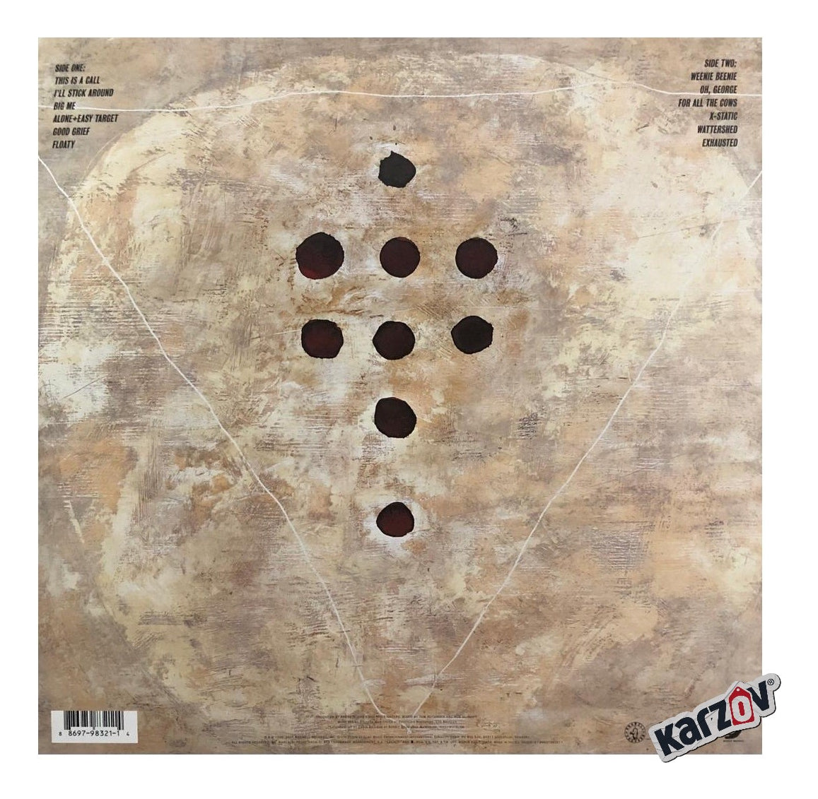Foo Fighters Lp Vinyl