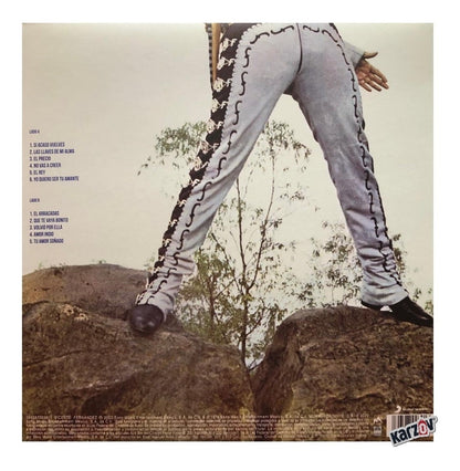 Vicente Fernandez El Idolo De Mexico Lp Vinyl