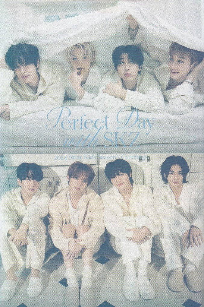 Stray Kids Photocard Tarjetas Lomo Card [ Version A Elegir ] White / 55 pcs / Perfect Day