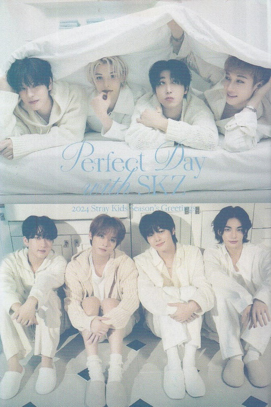 Stray Kids Photocard Tarjetas Lomo Card [ Version A Elegir ] White / 55 pcs / Perfect Day