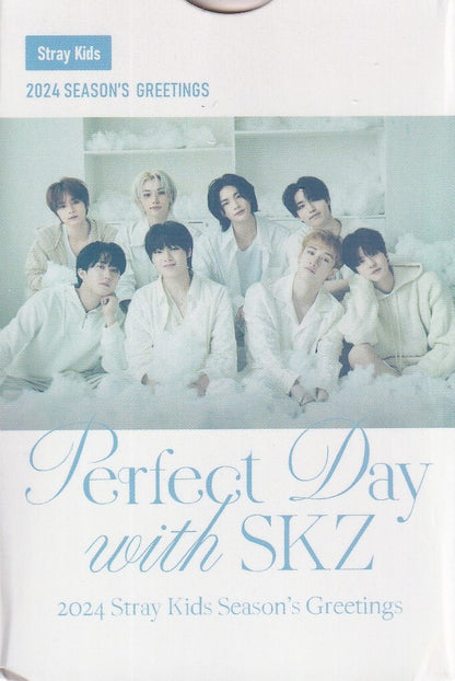 Stray Kids Photocard Tarjetas Lomo Card [ Version A Elegir ] White / 55 pcs / Perfect Day