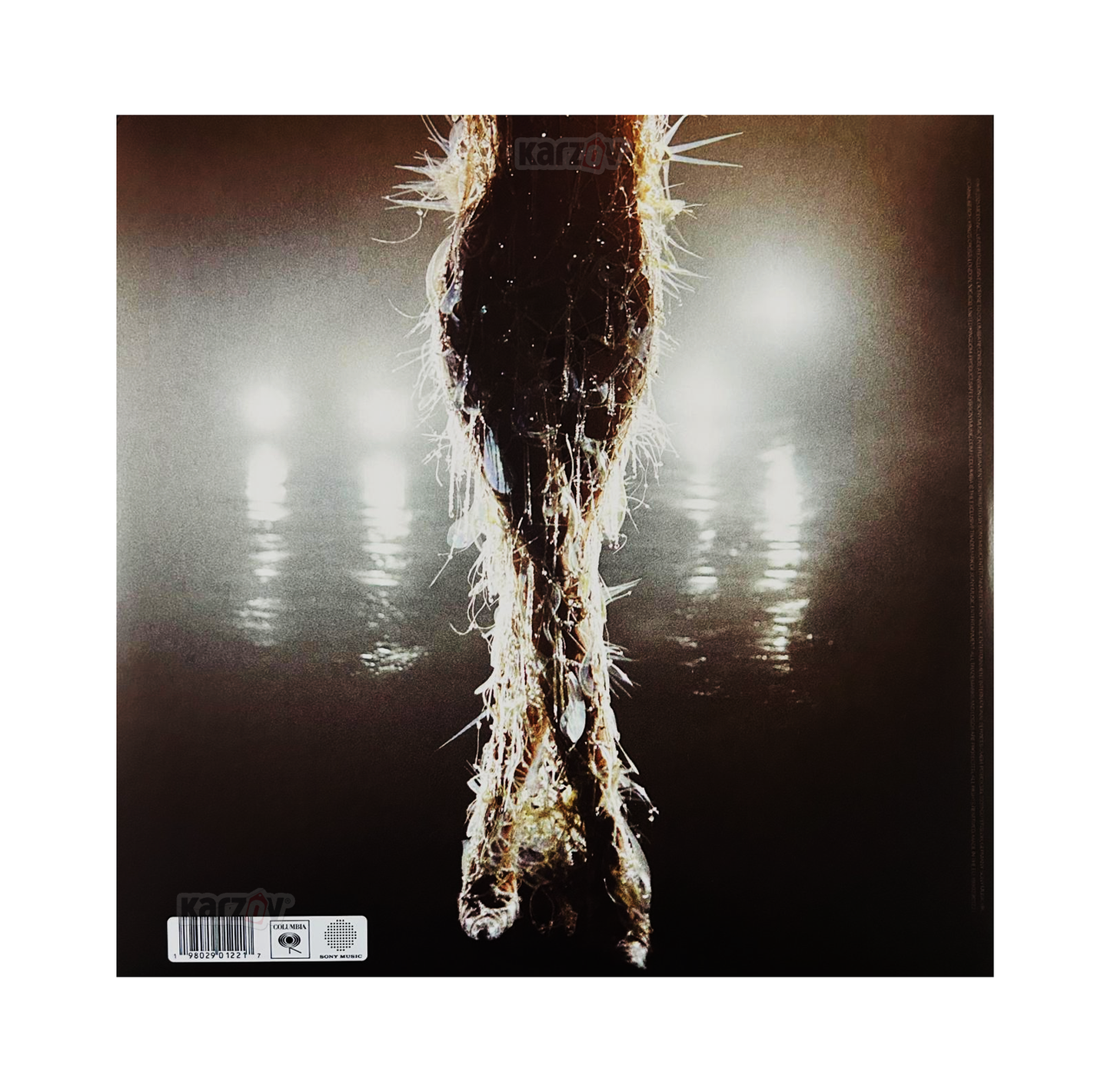 Miley Cyrus Something Beautiful Lp Vinyl