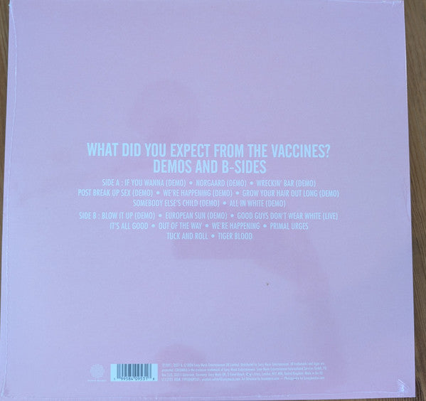 The Vaccines What Did You Expect From  Rsd 2026 Lp Vinyl