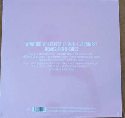 The Vaccines What Did You Expect From  Rsd 2026 Lp Vinyl