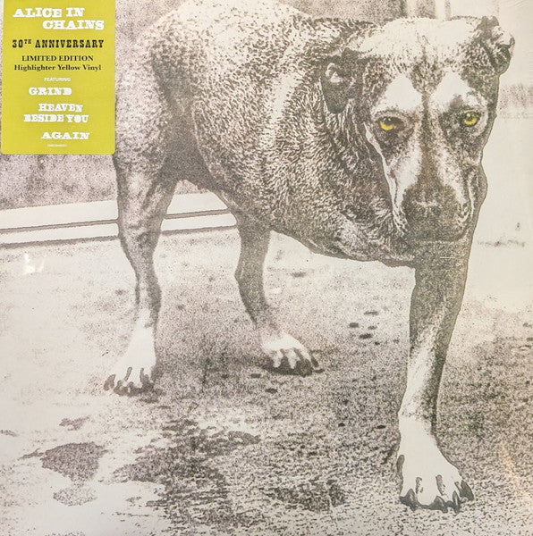 Alice In Chains Homonimo 2 Lp Vinyl 30th Anniversary Highlighter Yellow