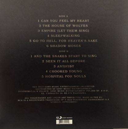 Bring Me The Horizon Sempiternal Lp Acetato Vinyl