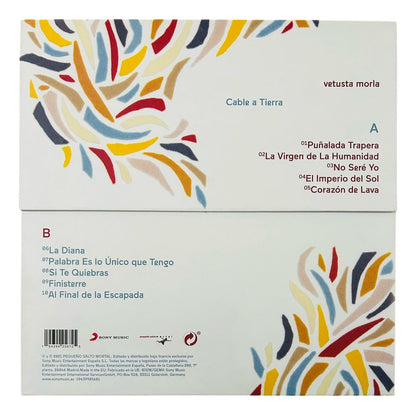 Vetusta Morla Cable A Tierra Autografiado Yellow Lp Vinyl