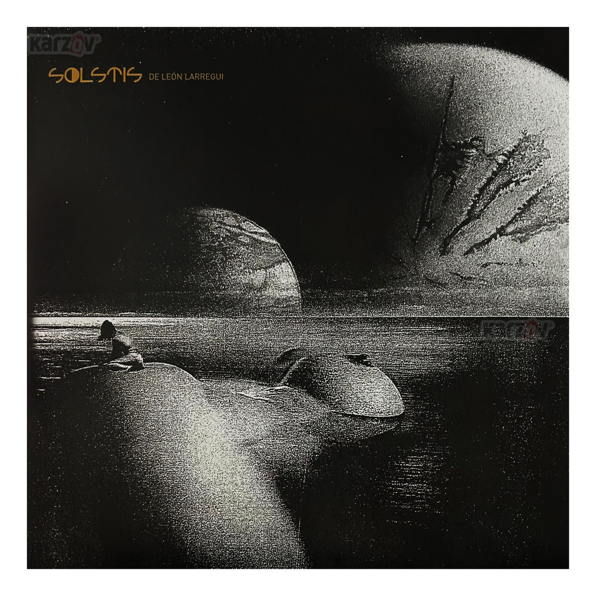 Leon Larregui Solstis Lp Vinyl